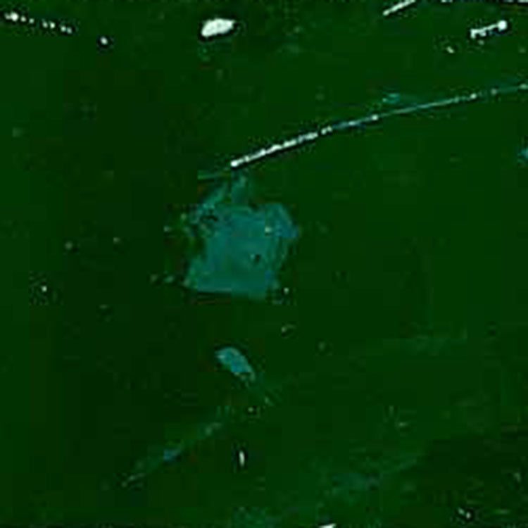 Champion Inks® 76000 Series Polyester Solvent Screen Printing Ink – Air Dry