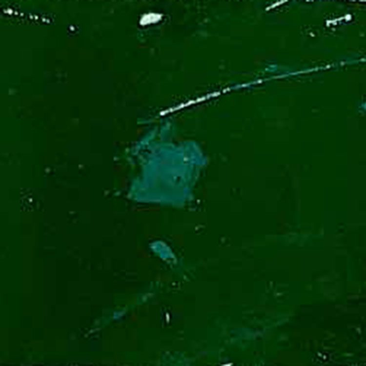 Champion Inks® 40000 Series Gloss Vinyl Screen Printing Ink – Air Dry – Gallon